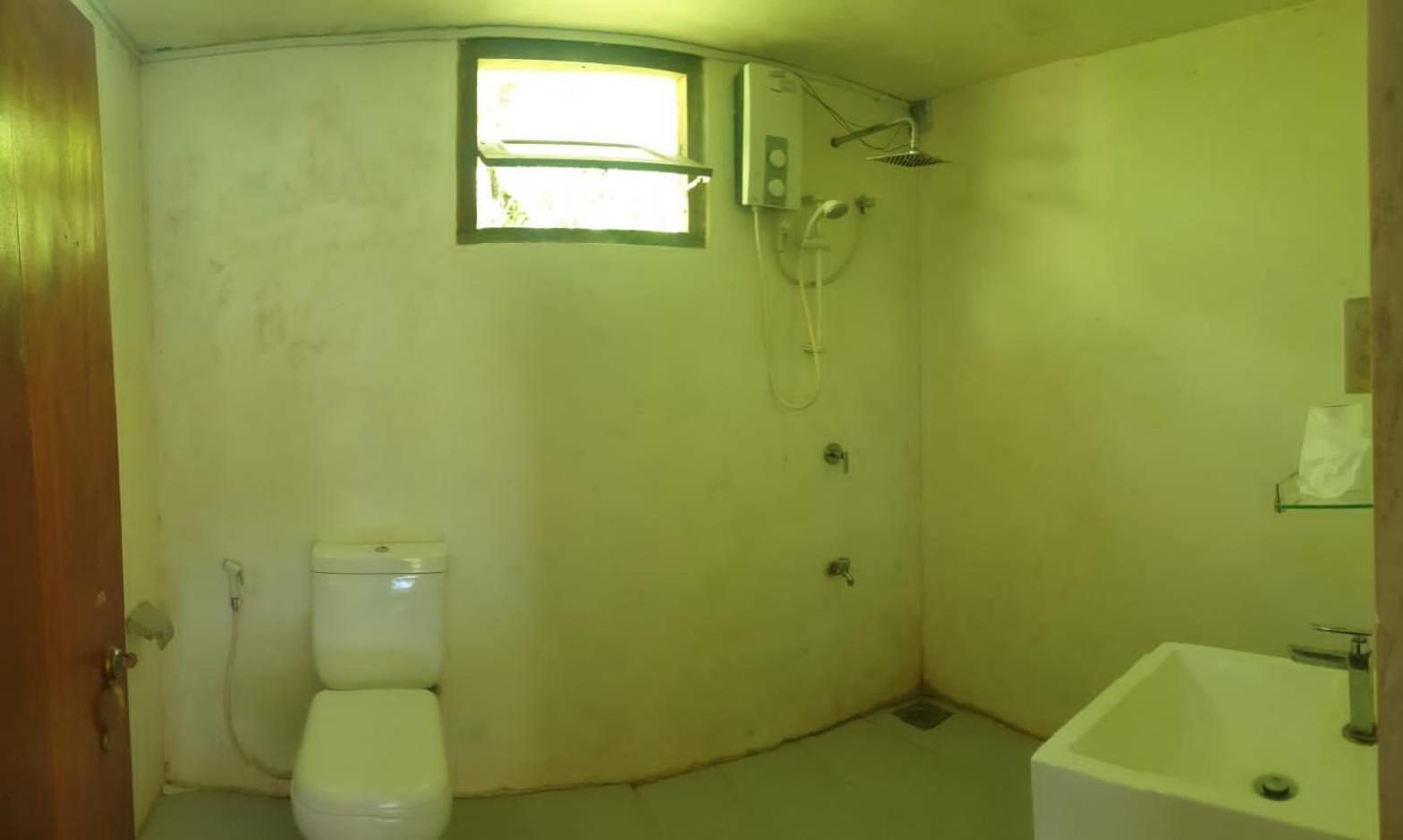 דניאיאה Sinharaja Hostel 114 מראה חיצוני תמונה