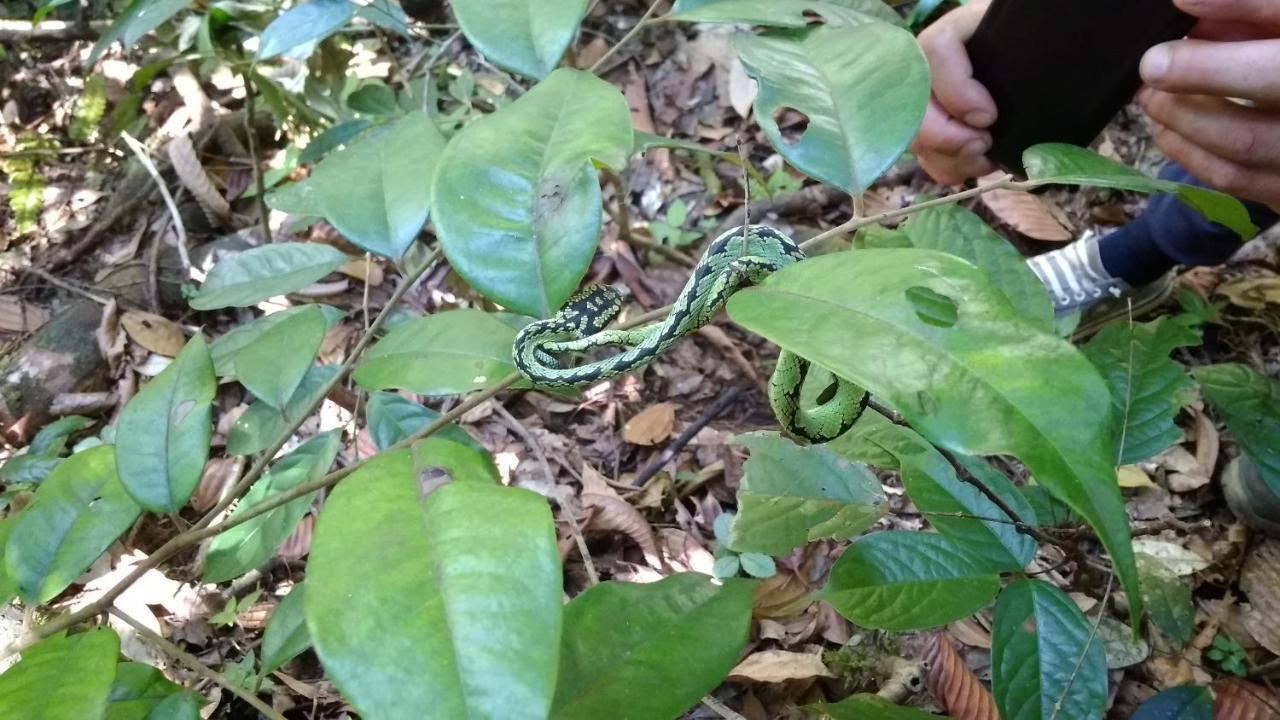 דניאיאה Sinharaja Hostel 114 מראה חיצוני תמונה